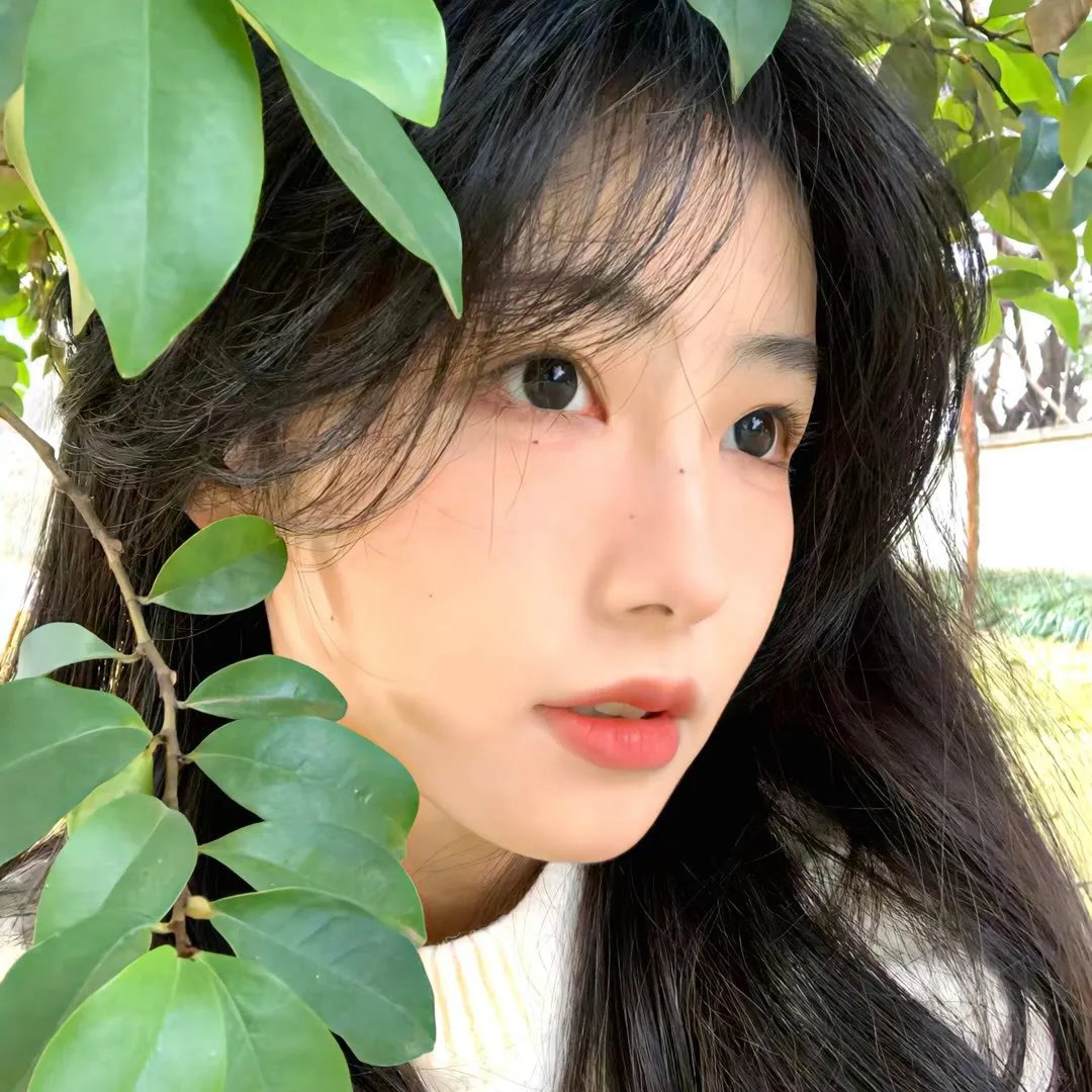 那年那兔那些事第二季 在线观看