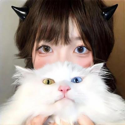 群雄夺宝 在线观看